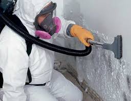 Best Crawl Space Mold Remediation  in North Fort Lewis, WA